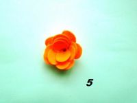 DSC00230