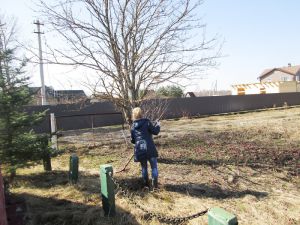 Субботник у обелиска в селе Михайлвское