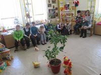 Путешествие в мир «Куриного царства-государства»